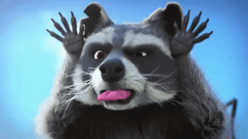 Neener Raccoon